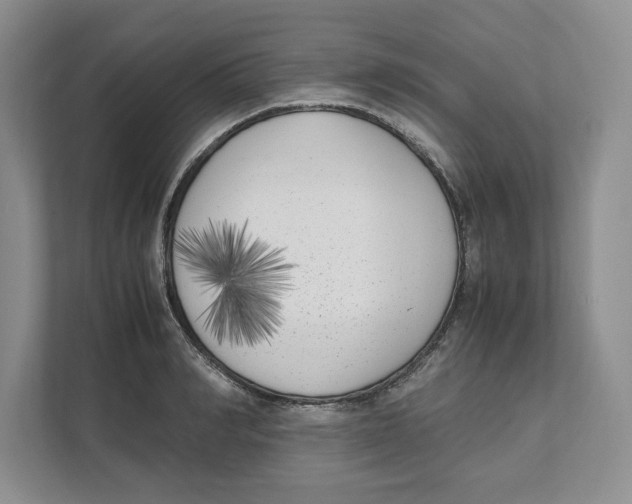 X0000111850990200908201233