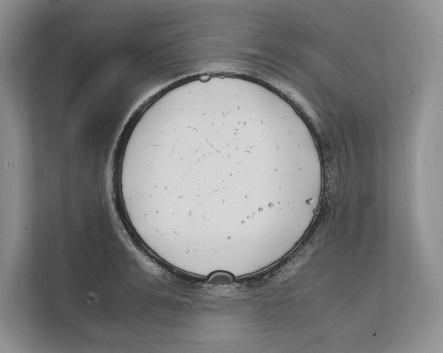 X0000111850991200908201233
