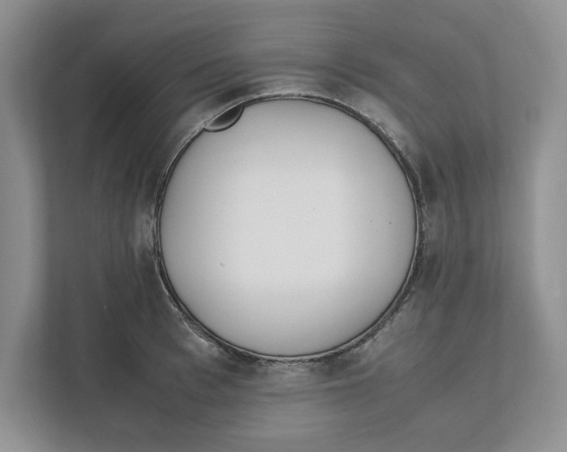 X0000111850993200908201233