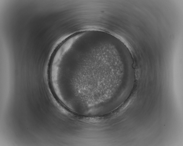 X0000111850995200908201233