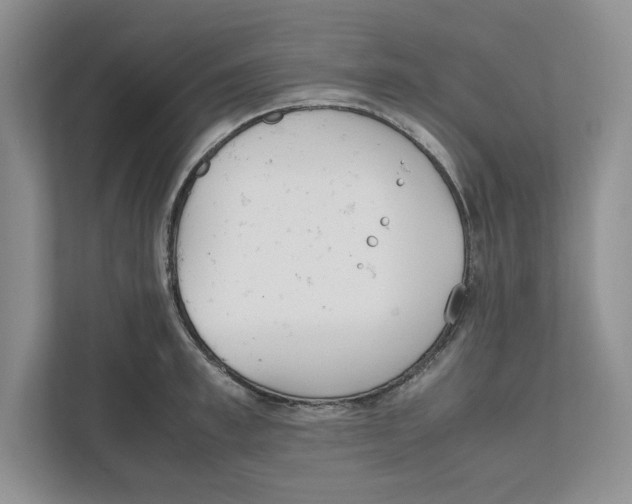 X0000111850997200908201233