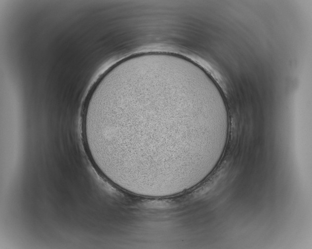 X0000111850998200908201233