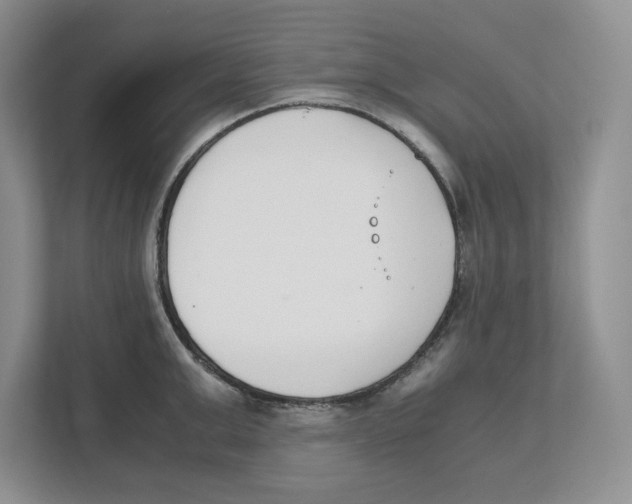 X0000111850999200908201233