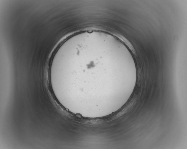 X0000111851000200908201233