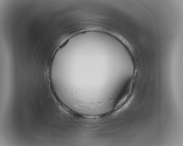 X0000111851001200908201233