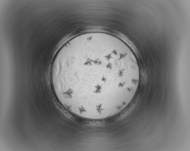 X0000111851002200908201233