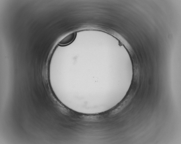 X0000111851004200908201233