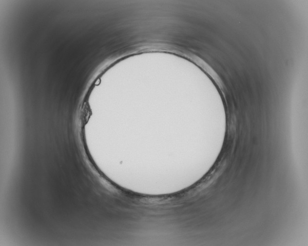 X0000111851005200908201233