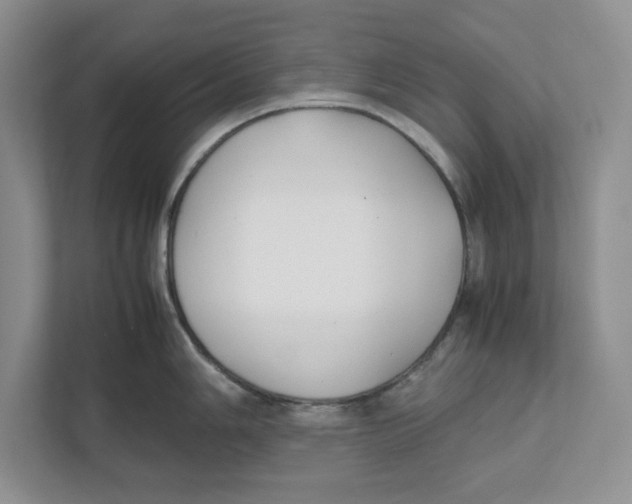 X0000111851006200908201233