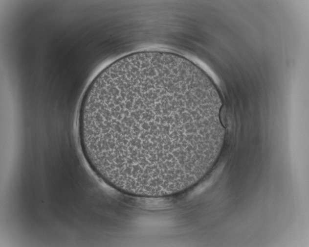 X0000111851007200908201233