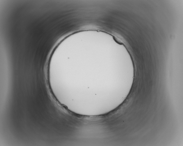 X0000111851008200908201233