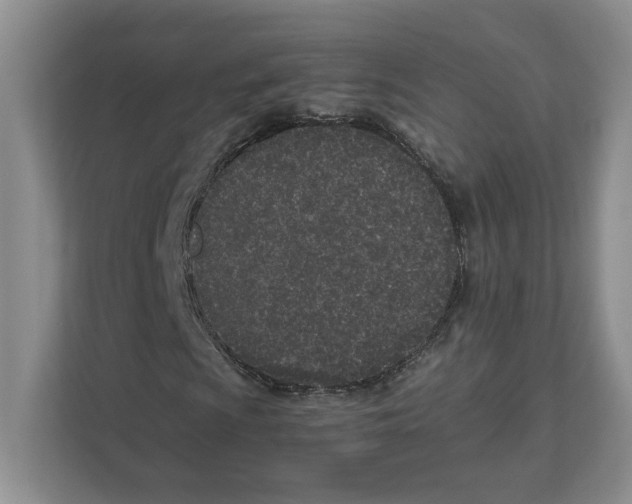 X0000111851009200908201233