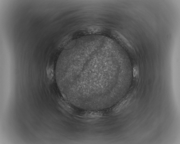 X0000111851011200908201233