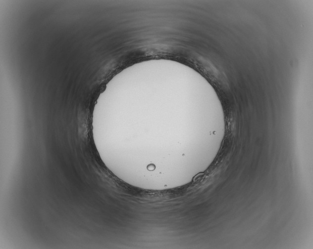 X0000111851012200908201233