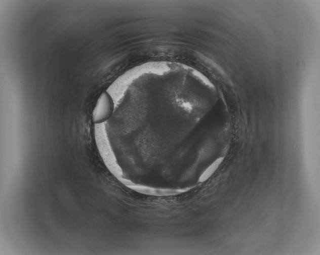 X0000111851013200908201233