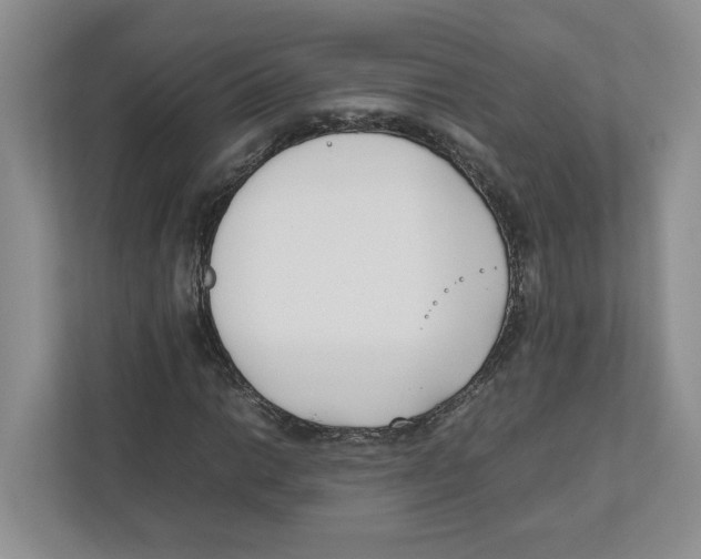 X0000111851014200908201233