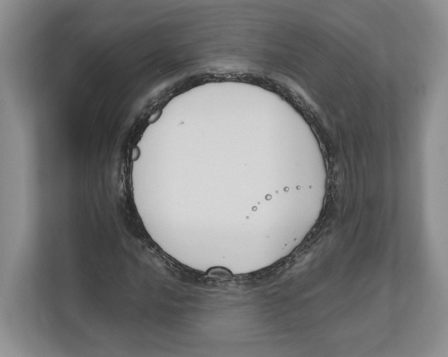 X0000111851016200908201233