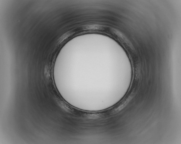 X0000111851017200908201233