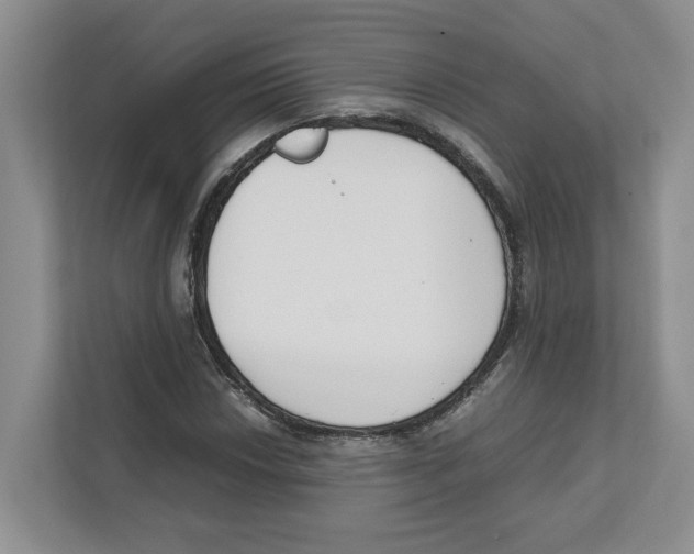 X0000111851018200908201233