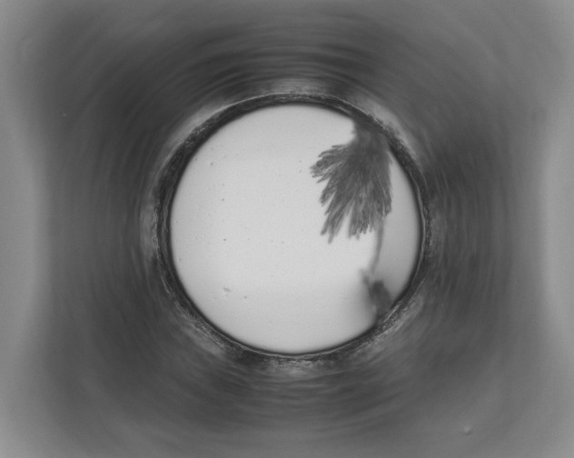 X0000111851019200908201233