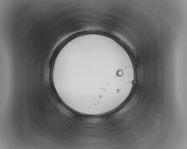 X0000111851021200908201233