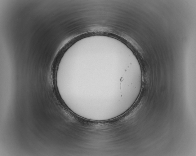 X0000111851022200908201233