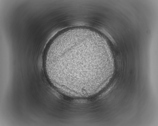 X0000111851023200908201233