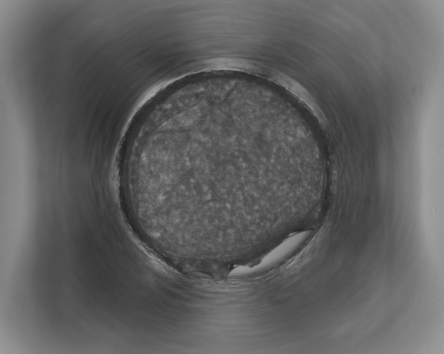 X0000111851024200908201233