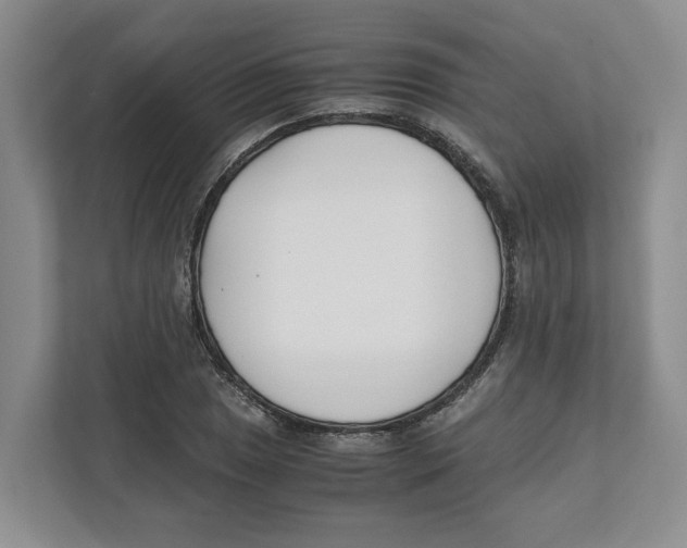 X0000111851025200908201233