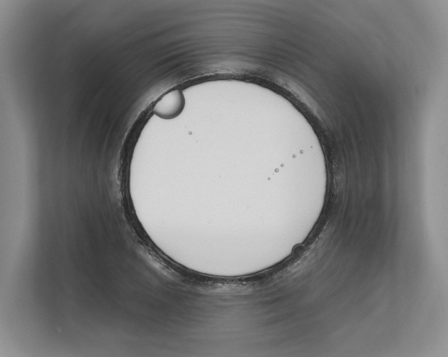X0000111851026200908201233