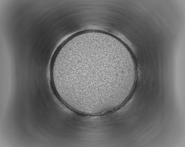 X0000111851028200908201233