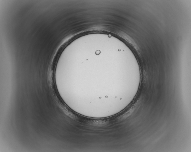 X0000111851029200908201233
