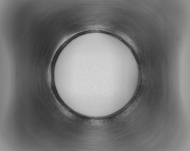 X0000111851032200908201233
