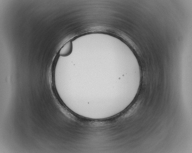 X0000111851034200908201233