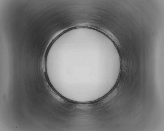 X0000111851036200908201233