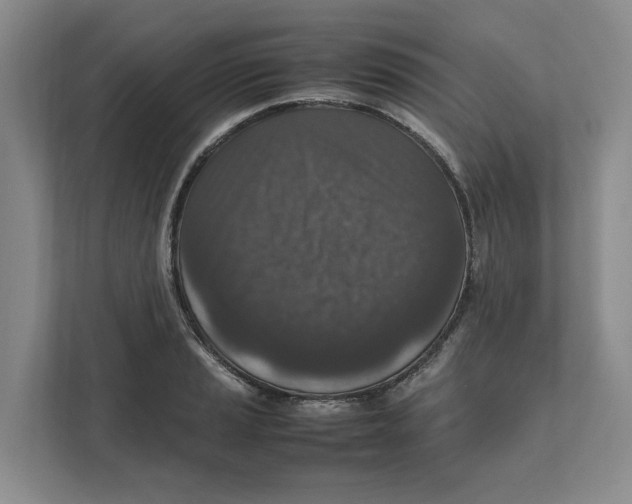 X0000111851037200908201233