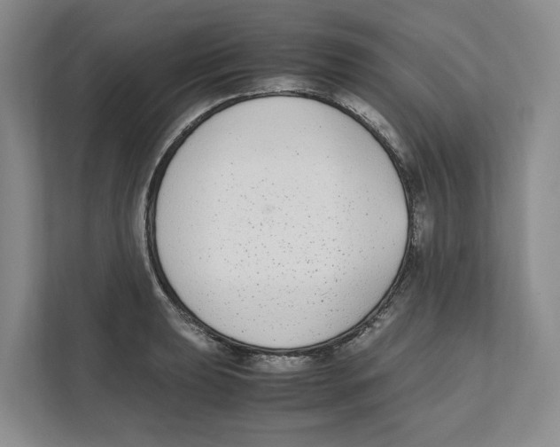 X0000111851039200908201233
