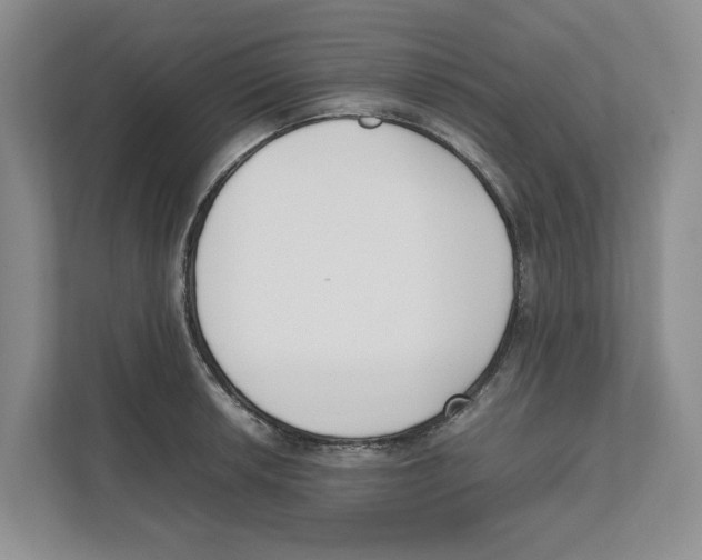 X0000111851042200908201233