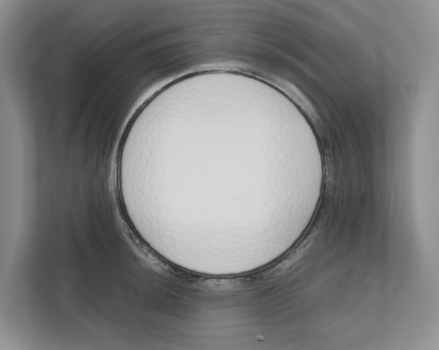 X0000111851044200908201233