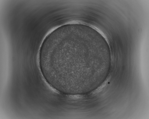 X0000111851045200908201233
