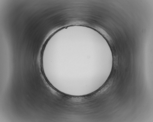X0000111851046200908201233