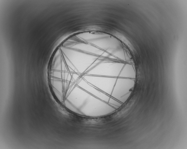 X0000111851047200908201233