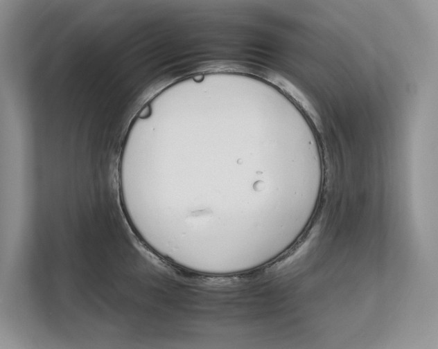 X0000111851049200908201233