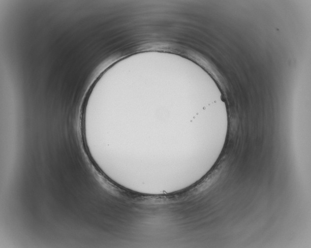 X0000111851050200908201233