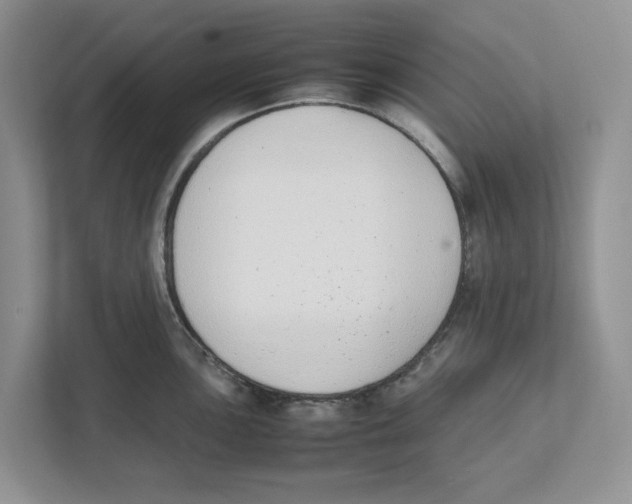 X0000111851051200908201233
