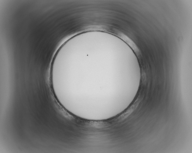X0000111851052200908201233