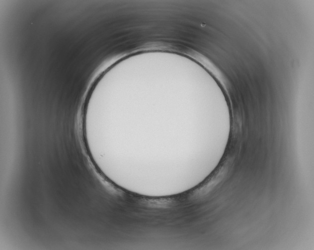 X0000111851053200908201233