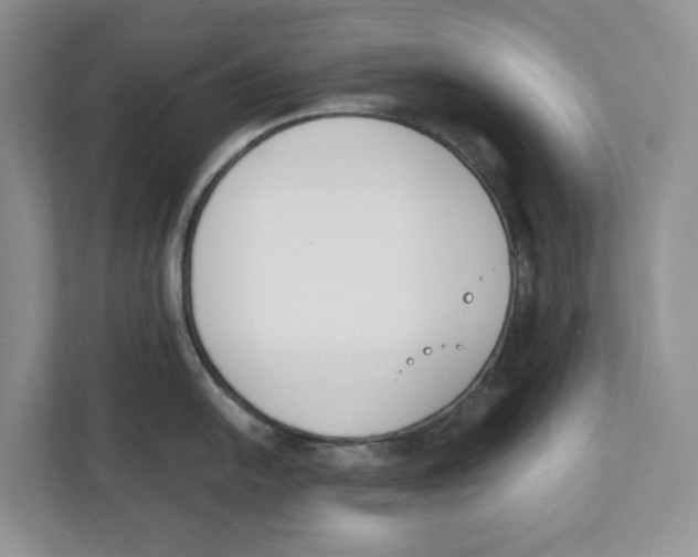 X0000111851054200908201233