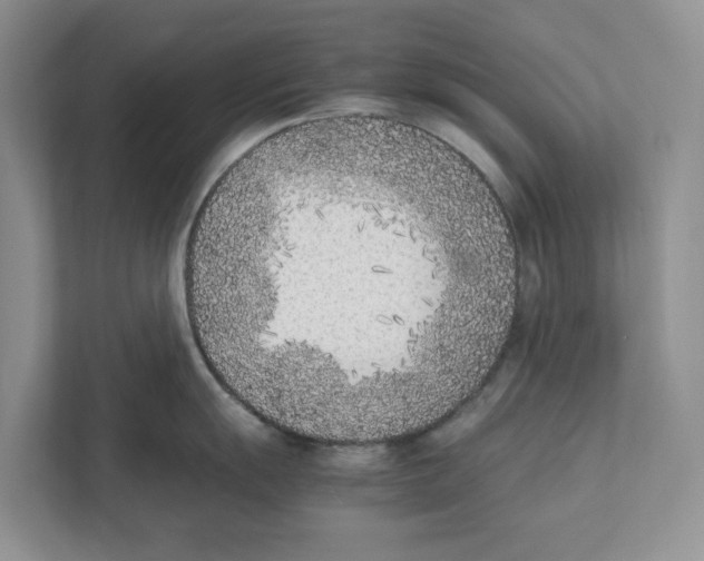 X0000111851055200908201233