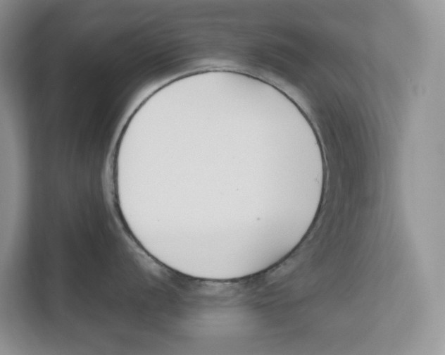 X0000111851056200908201233